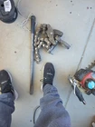 Ridgid No 246 Heavy Duty Chain Soil Pipe Cutter Used. Price: $300.00.