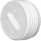 Charlotte Pipe Pvc 00110 1000 Sch 40 Flush Cleanout Plug Male Dia. In. New. Price: $9.32.